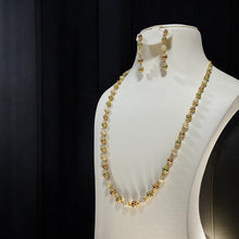 Load image into Gallery viewer, Necklace and earring.
